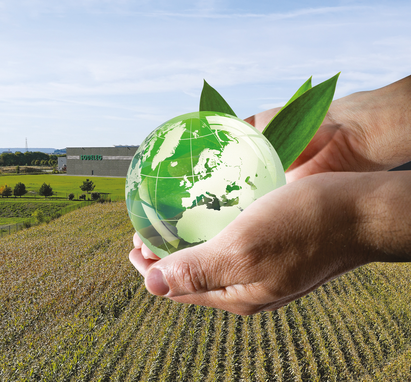 2008 – Programme “Développement Durable”